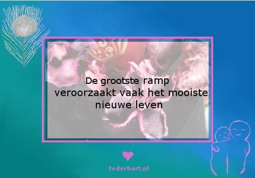 20150911rampnieuwleven