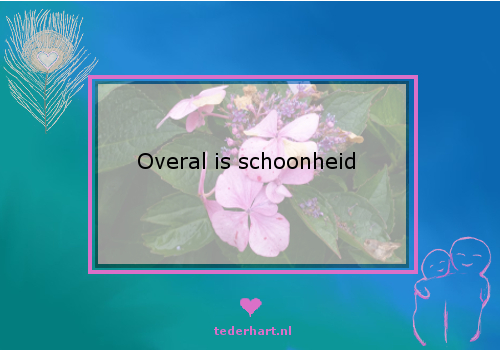 20151008overalisschoonheid