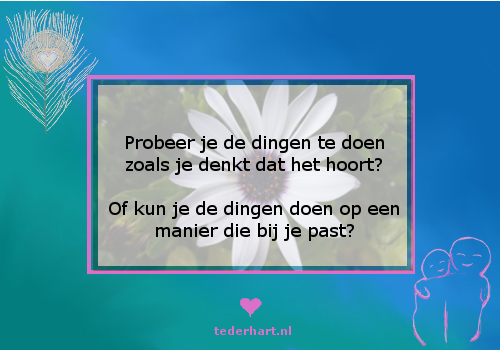 20151026talentuitbuiten