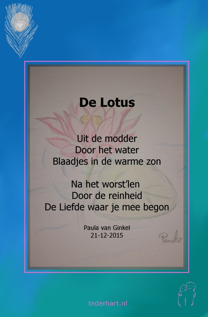 20151221De Lotus