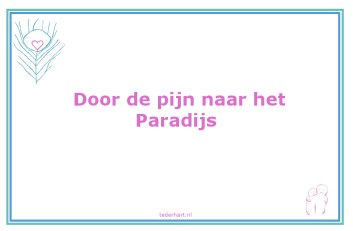 0208-pijnparadijs